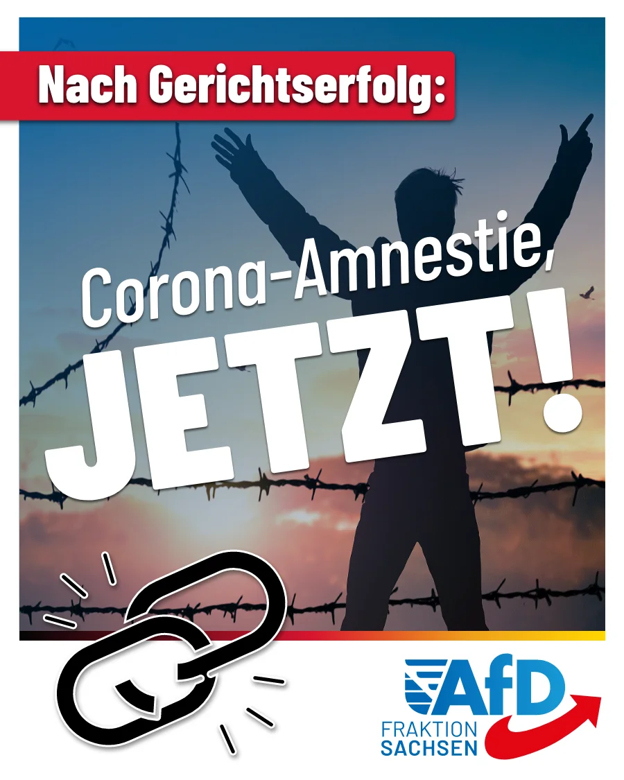 Wegweisendes Urteil des Verfassungsgerichts: Wann kommt endlich die Corona-Amnestie?